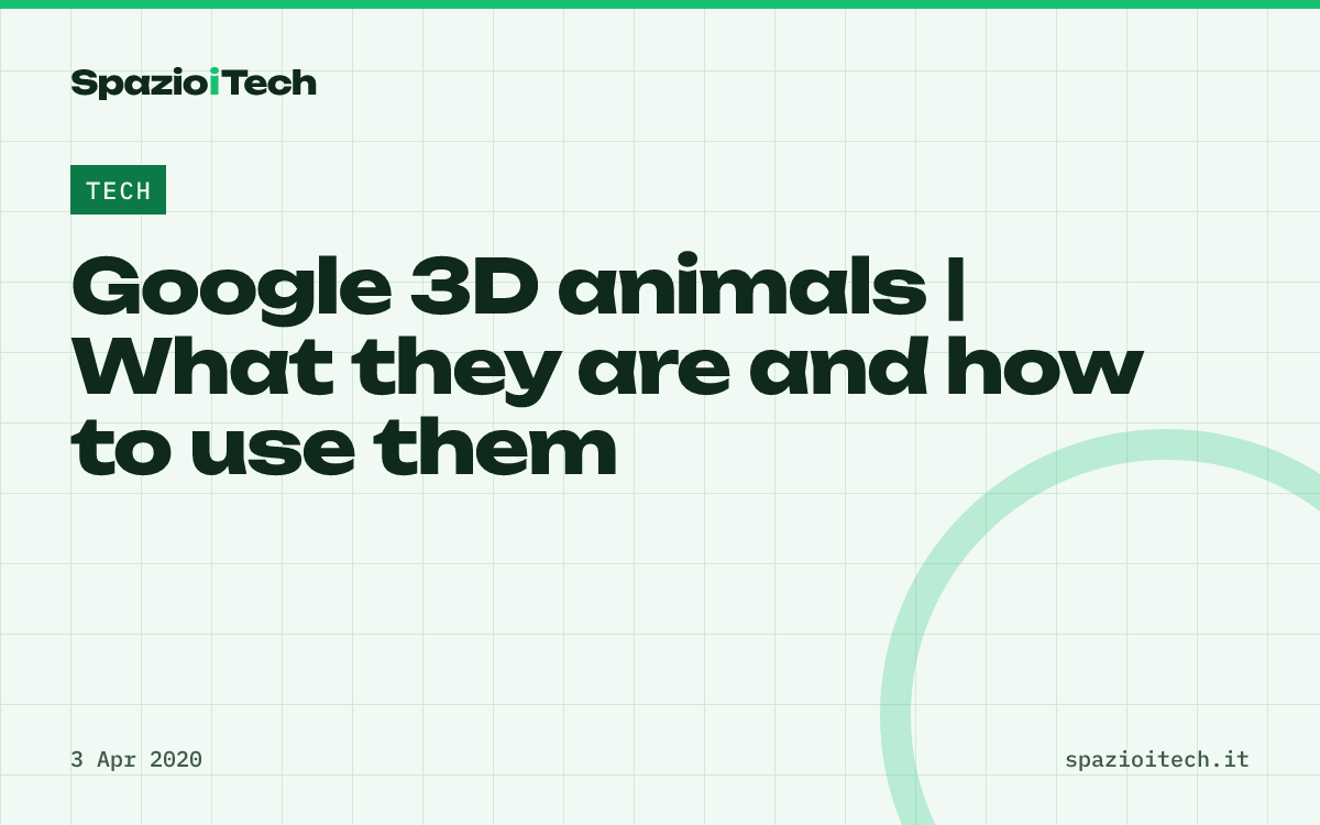 Google 3D animals | What they are and how to use them