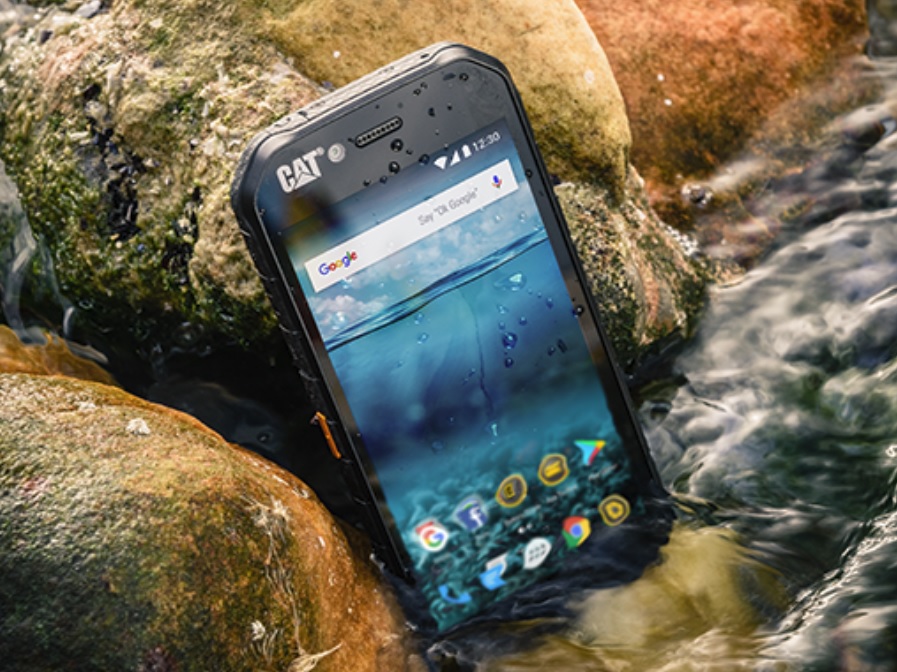 Cat S41