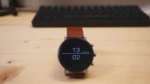 Skagen Falster 2