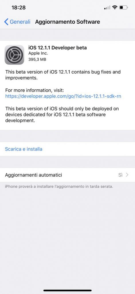 Beta Developer 1
