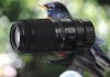 Fujifilm