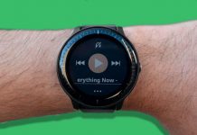 Vivoactive