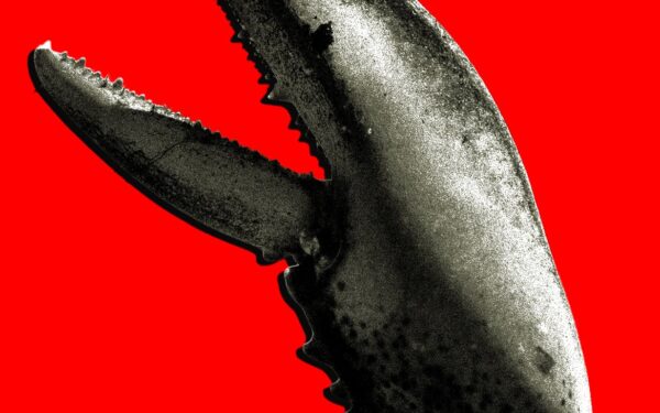 OpenClaw scatena la febbre dell'oro dell'AI in Cina