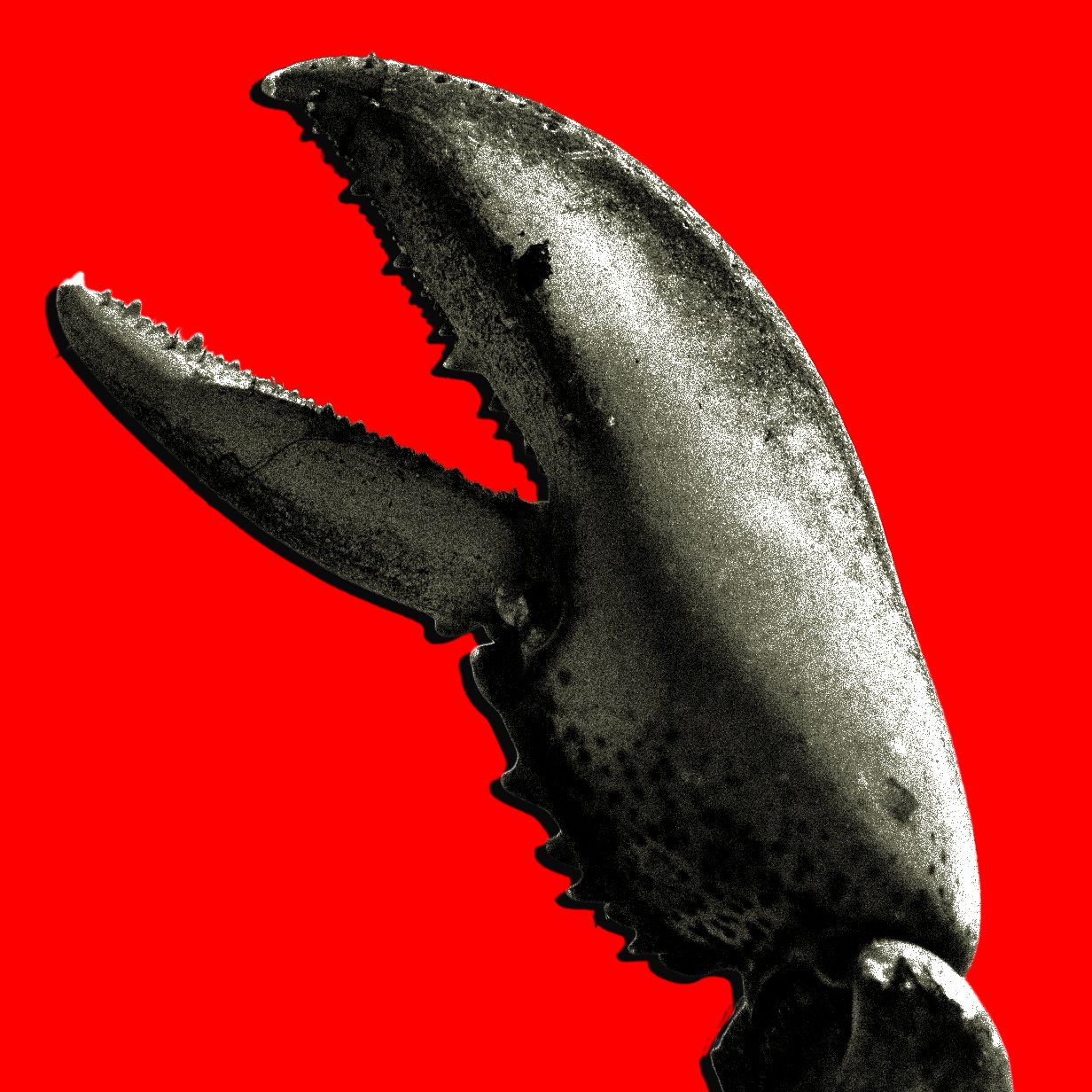 OpenClaw scatena la febbre dell'oro dell'AI in Cina