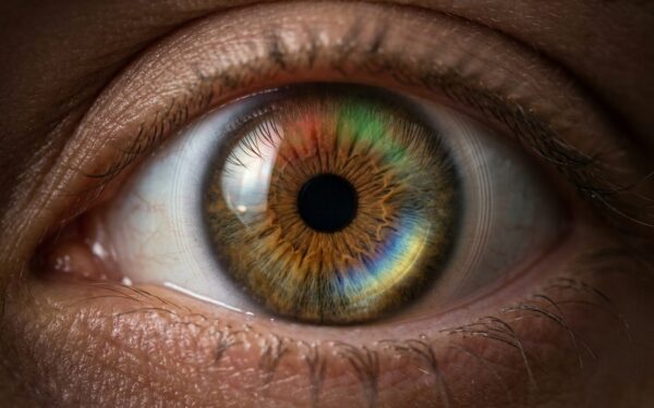 Come i colori aiutano l'occhio a mettere a fuoco