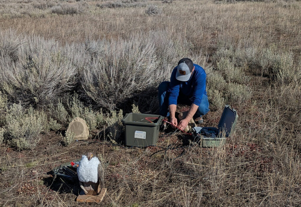 Robot-uccelli nel Wyoming: la missione green del 2026