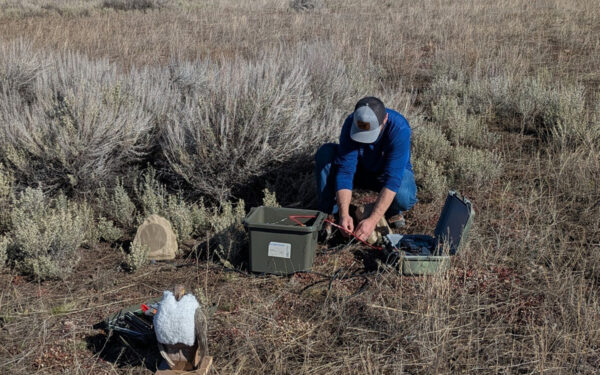 Robot-uccelli nel Wyoming: la missione green del 2026