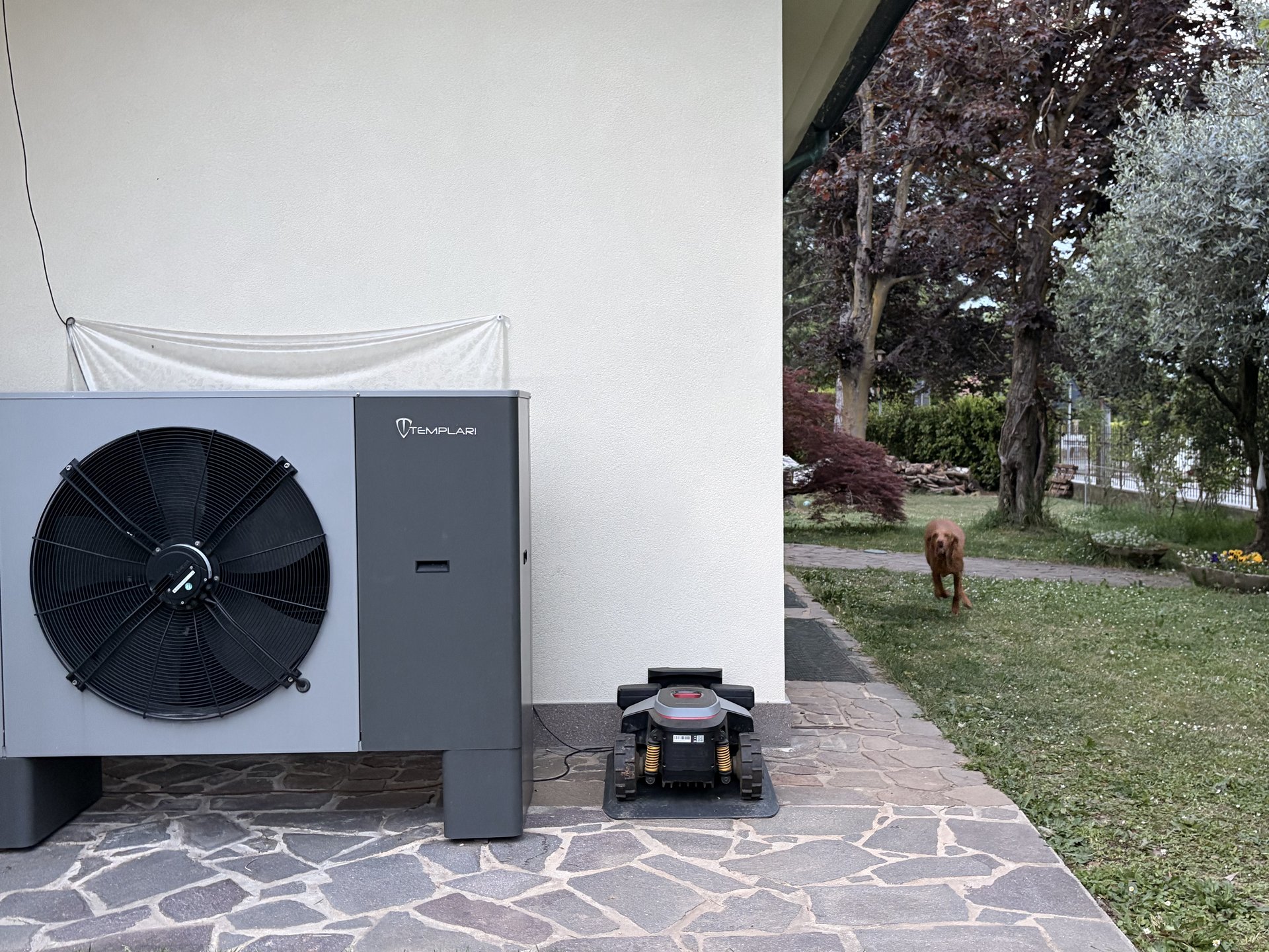 Roborock RockMow Z1 al passaggio fra pompa di calore e prato con cane di casa sullo sfondo