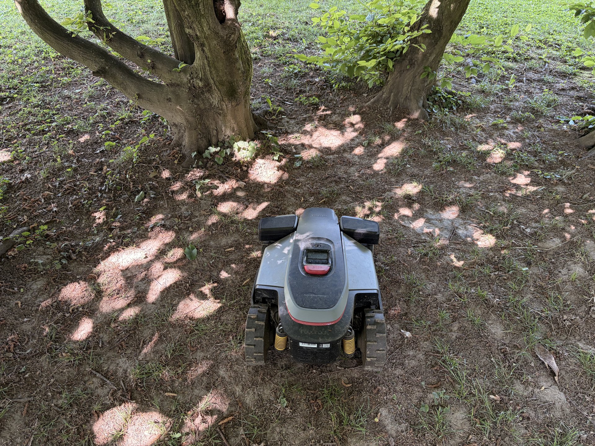 Roborock RockMow Z1 sotto chiome di alberi del mio giardino: scenario tipico in cui RTK perde precisione e VSLAM compensa.