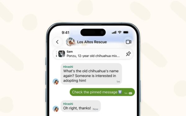 Signal nel 2026: proteggi i tuoi messaggi