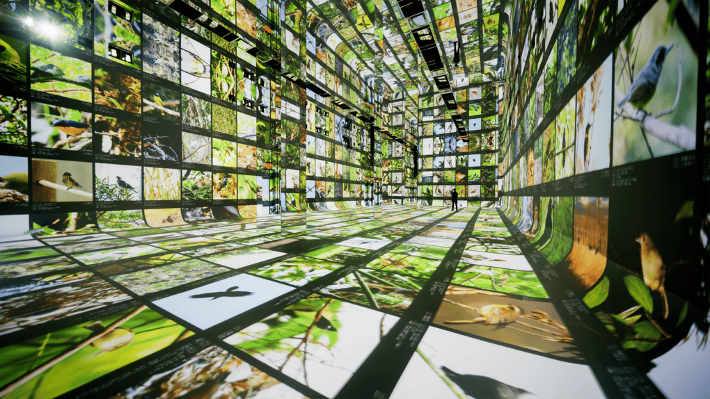 Dataland, il primo museo d'arte IA apre i suoi digi