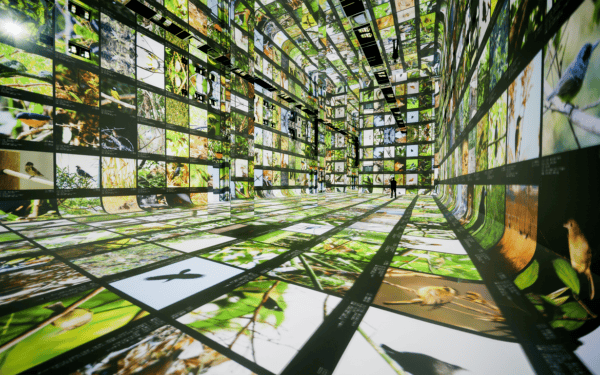 Dataland, il primo museo d'arte IA apre i suoi digi