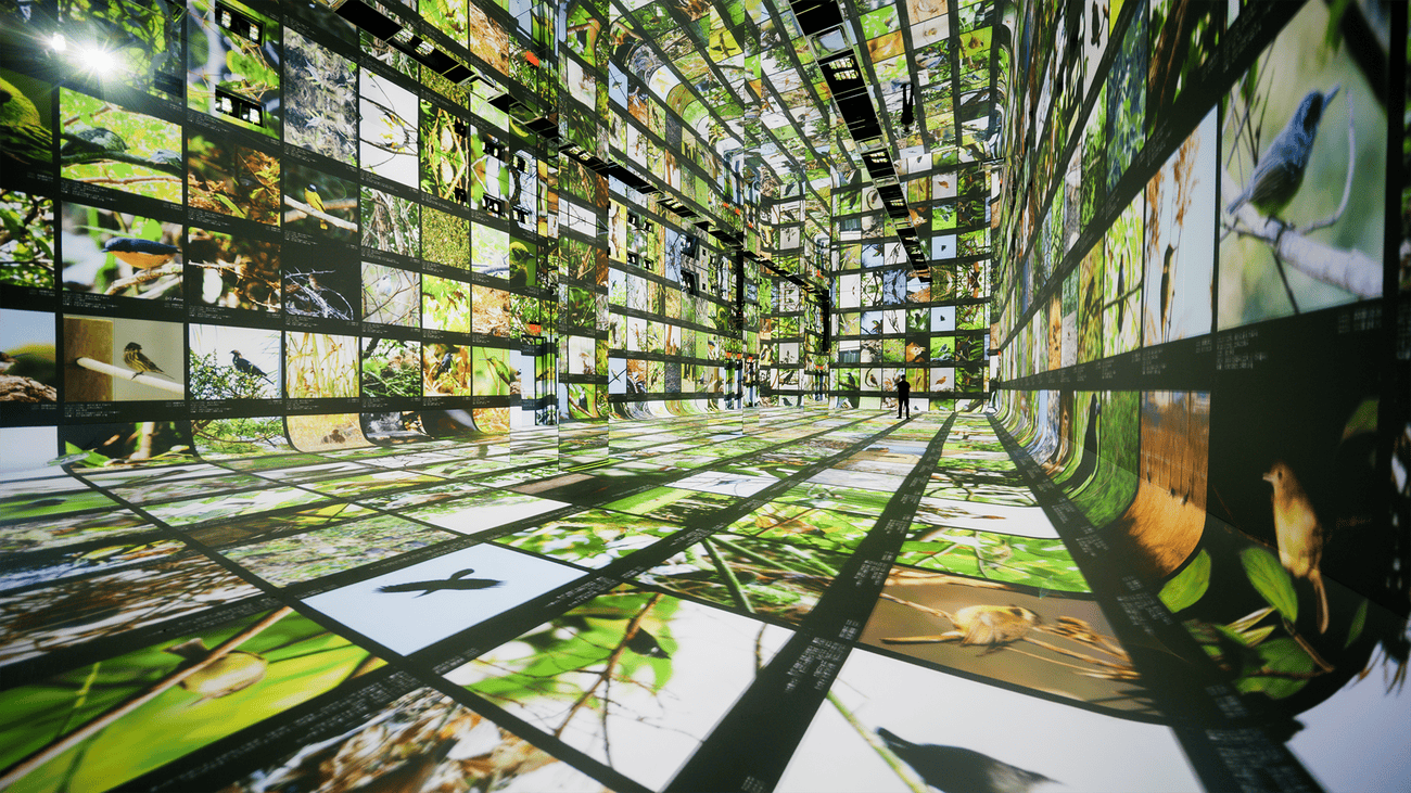 Dataland, il primo museo d'arte IA apre i suoi digi