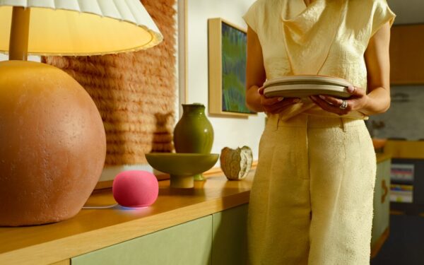 Gemini Home: il futuro della gestione domestica?