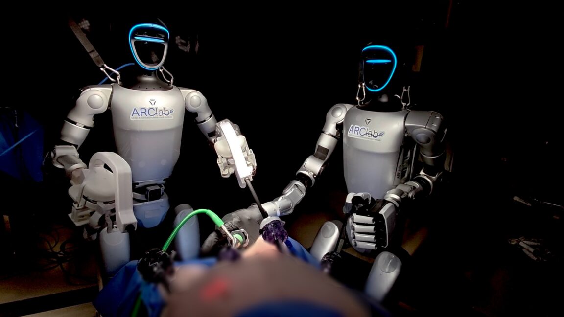 Robots antropomorfi eseguono interventi su maiali vivi