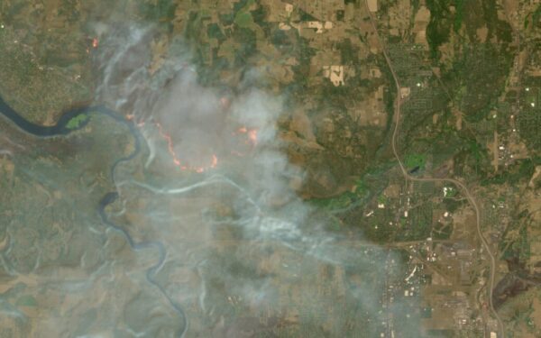 Incendi monitorati dal satellite: l'UE semplifica il