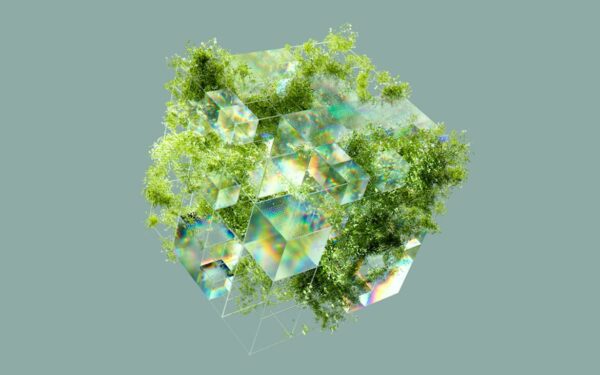 Google e 16 progetti green AI in Asia-Pacifico